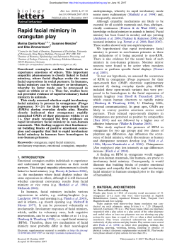 Rapid facial mimicry in orangutan play