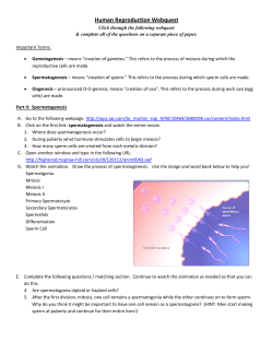 Human Reproduction Webquest