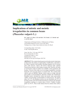 Implications of mitotic and meiotic irregularities in common beans