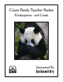 Giant Panda Teacher Packet - K through 2