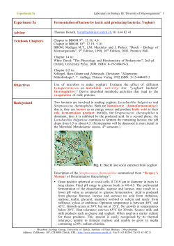 Experiment 5a Fermentation of lactose by lactic acid