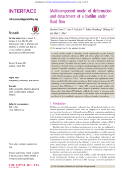 Full Text  - Journal of The Royal Society Interface