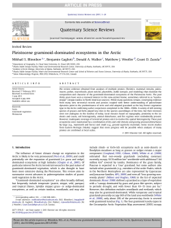 Pleistocene graminoid-dominated ecosystems in the Arctic