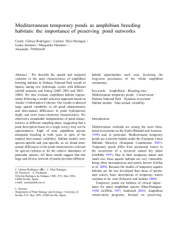 Mediterranean temporary ponds as amphibian breeding