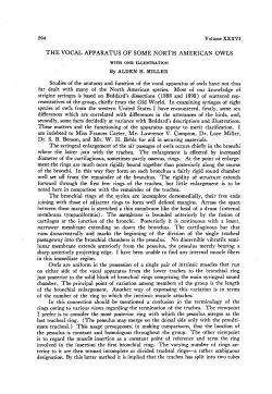 The Vocal Apparatus of Some North American Owls (with one ill.)