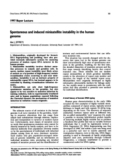 Spontaneous and Induced Minisatellite Instability