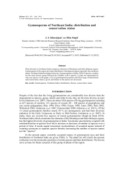 Gymnosperms of Northeast India: distribution and conservation