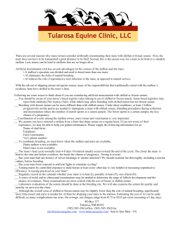 Mare Artificial Insemination