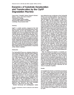Dynamics of Substrate Denaturation and Translocation by the ClpXP
