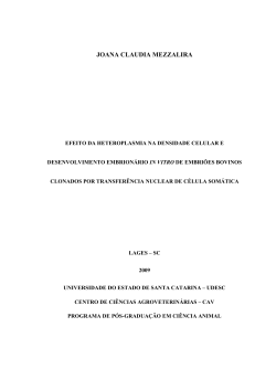 joana claudia mezzalira - udesc