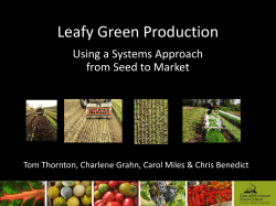 Leafy Green Production - Great Plains Growers Conference