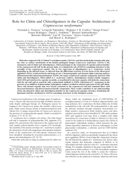 Role for Chitin and Chitooligomers in the Capsular