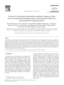 Control of introduced mammalian predators improves kaka breeding
