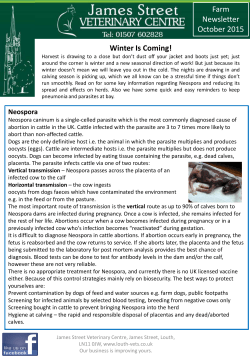 Farming Newsletter - James Street Veterinary Centre