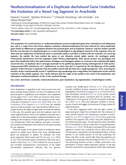 Article Neofunctionalization of a Duplicate dachshund Gene