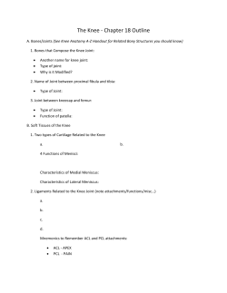 Knee Unit Outline for Schoolwires