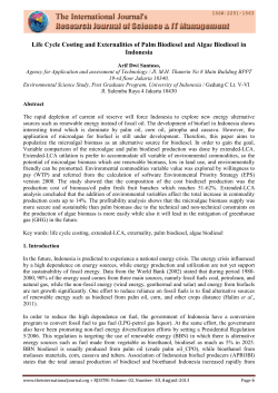 Life Cycle Costing and Externalities of Palm Biodiesel