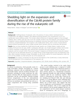 Shedding light on the expansion and diversification of the Cdc48