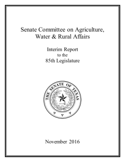 Senate Committee on State Affairs
