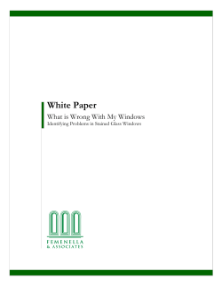 What is Wrong With My Windows-Identifying Problems in Stained