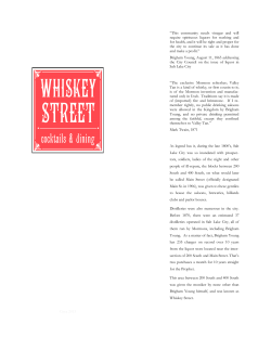 the drink menu pdf