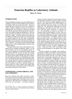 Nonavian Reptiles as Laboratory Animals