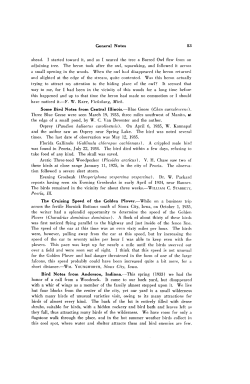 Bird Notes from Anderson, Indiana