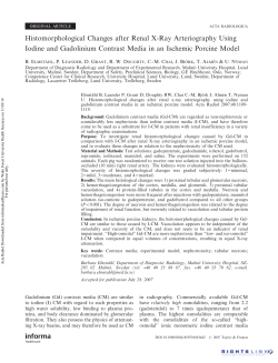 Histomorphological Changes after Renal X