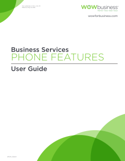 phone features - WOW! Business