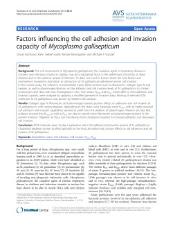 Factors influencing the cell adhesion and invasion capacity of