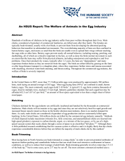 The Welfare of Animals in the Egg Industry