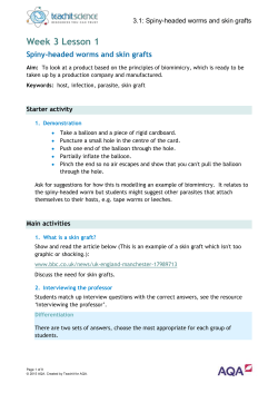 the PDF version of the Word document