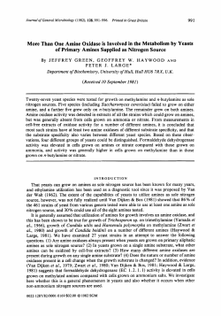 More Than One Amine Oxidase is Involved in the