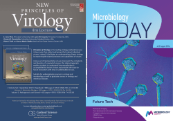 PDF - Microbiology Society