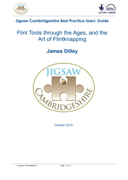 Flint Tools and Flintknapping