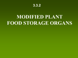 Food Storage Organs