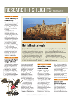 Hot tuff not so tough