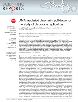 DNA mediated chromatin pull-down for the study of chromatin