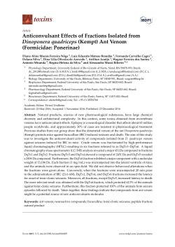 Anticonvulsant Effects of Fractions Isolated from Dinoponera