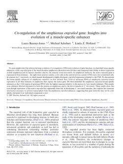 Cis-regulation of the amphioxus engrailed gene