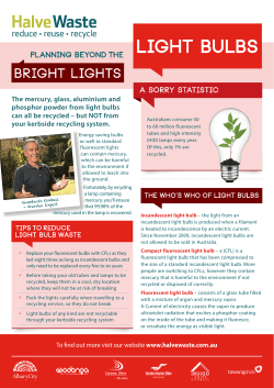 Light Bulbs - Halve Waste