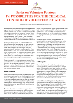 Series on Volunteer Potatoes IV: POSSIBILITIES FOR THE