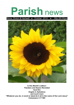 October 2014 - Dinton Info