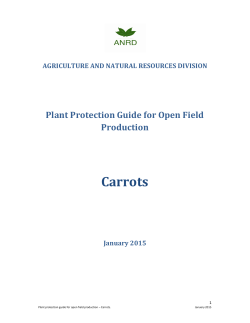 Plant Protection Guide for Carrots
