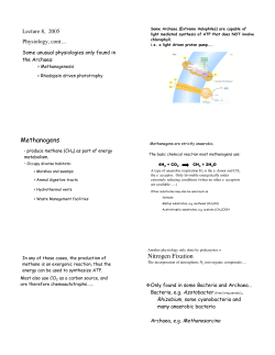 Methanogens Nitrogen Fixation