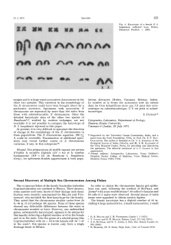 Second discovery of multiple sex chromosomes among