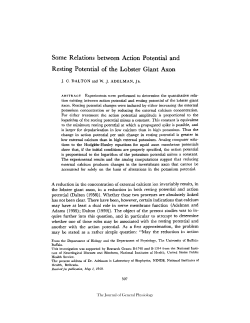 Some Relations between Action Potential and