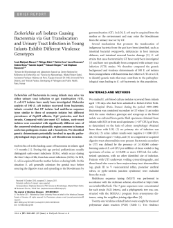 Escherichia coli Isolates Causing Bacteremia via Gut Translocation