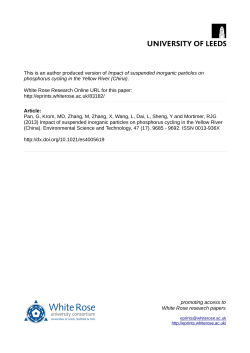 Impact of suspended inorganic particles on phosphorus cycling in