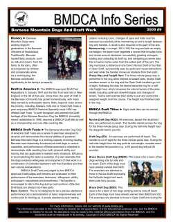 BMDCA Info Series - Bernese Mountain Dog Club of America